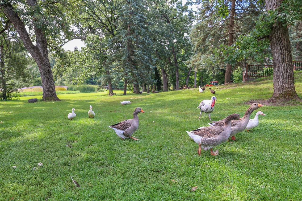 Escape to Nature