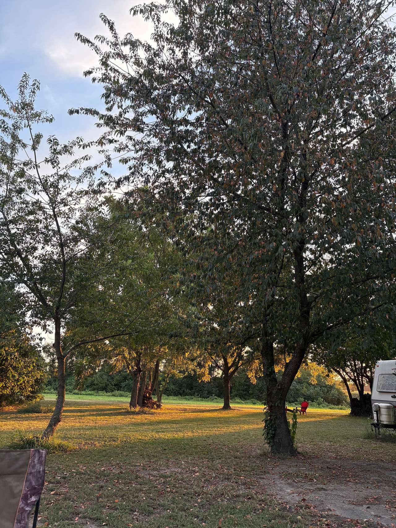 Dale's Campground