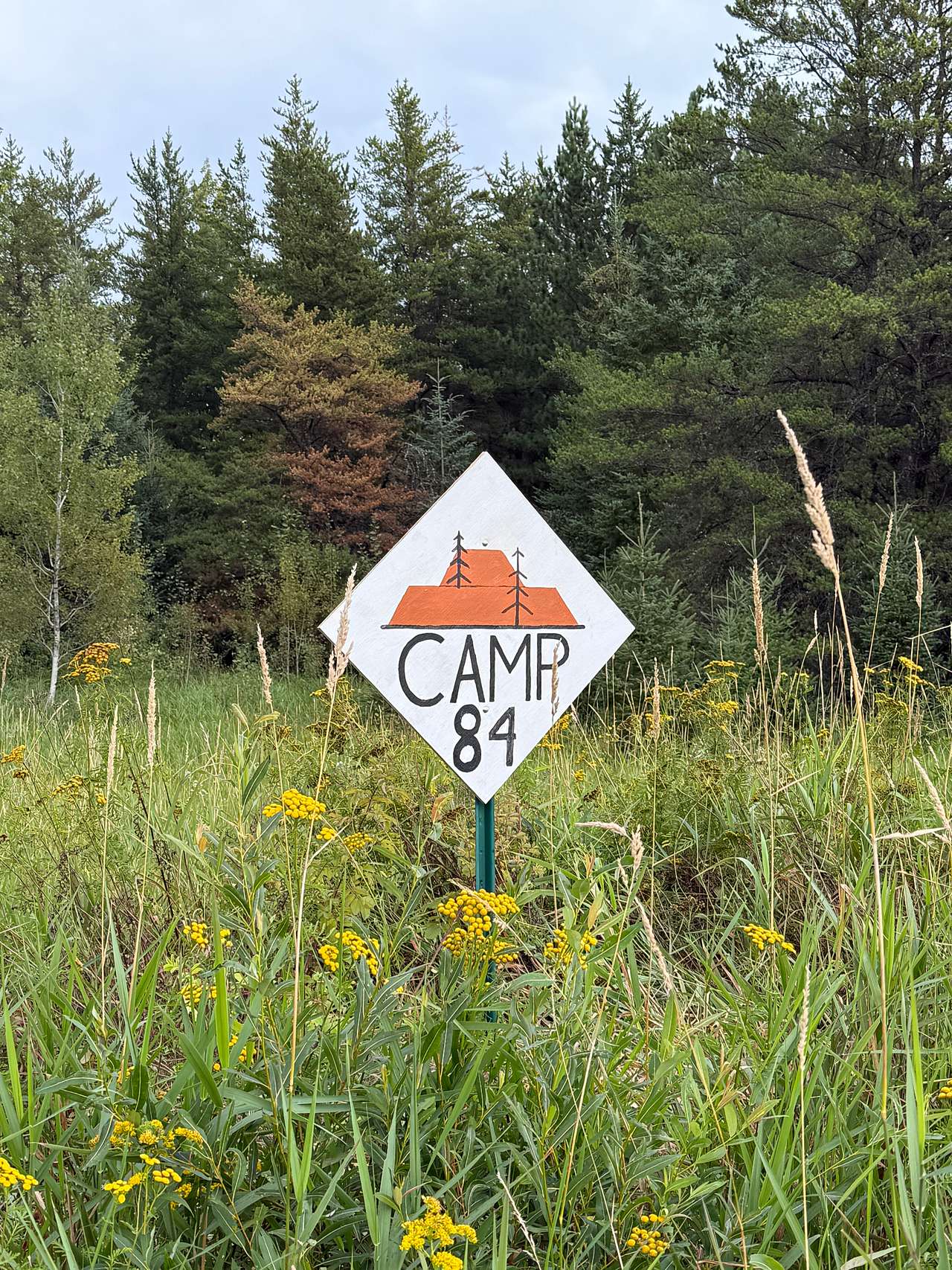 Camp 84