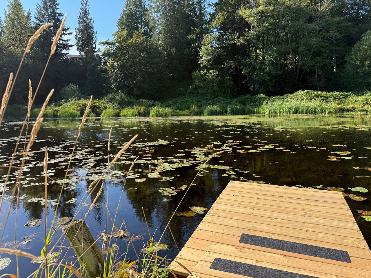 Lakefront Rainbow Retreat