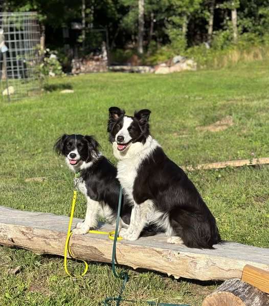 My girlz enjoyed the campground too.