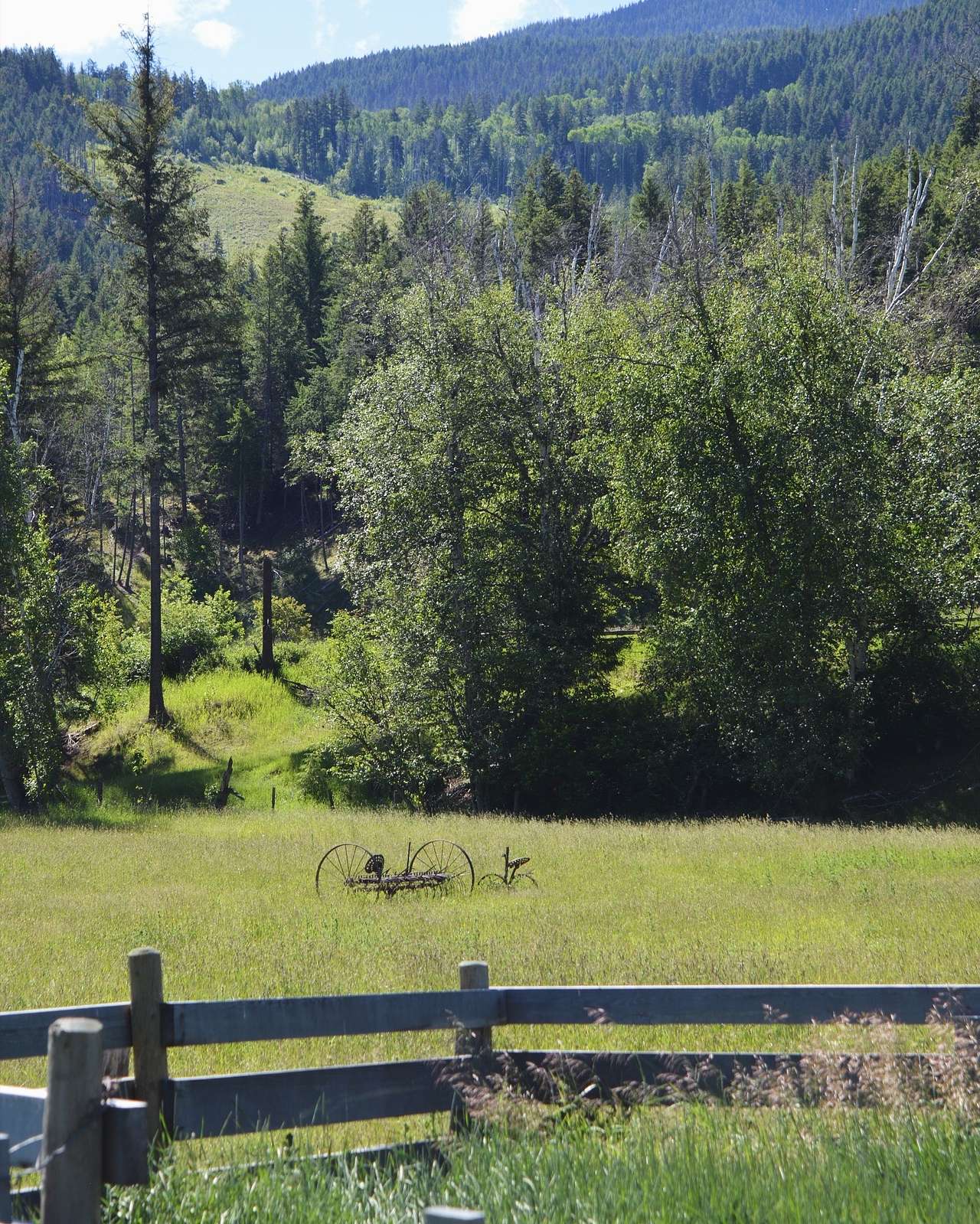 Aveley Ranch