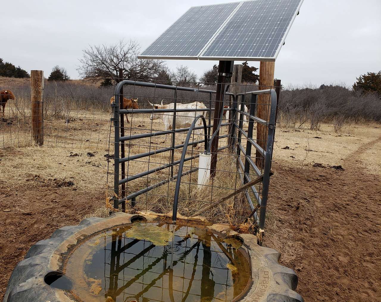 Grasslander Ranch