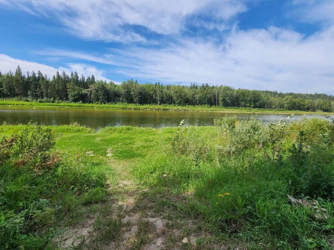 Tail Creek Park