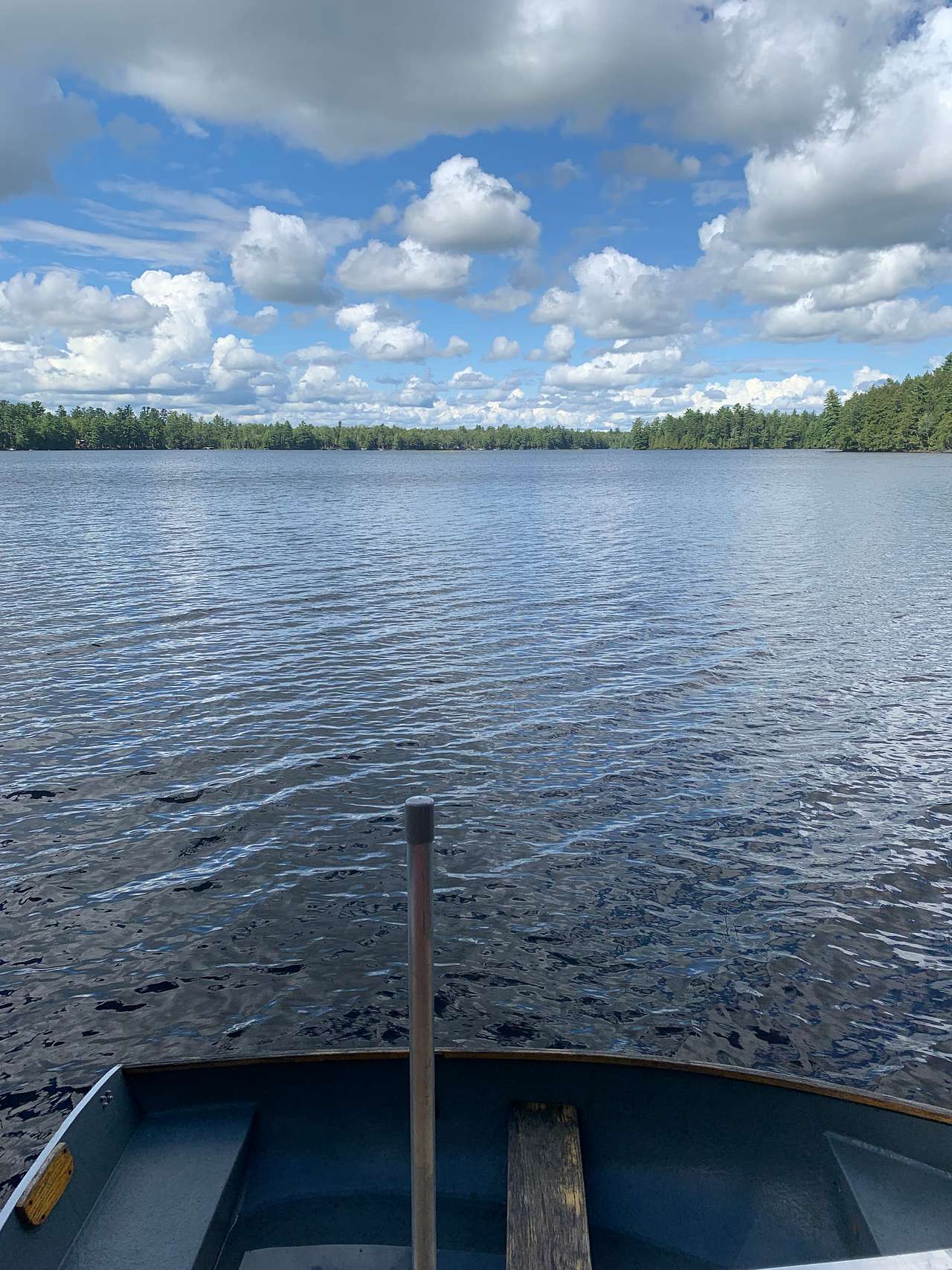 Holbrook Lake Sanctuary
