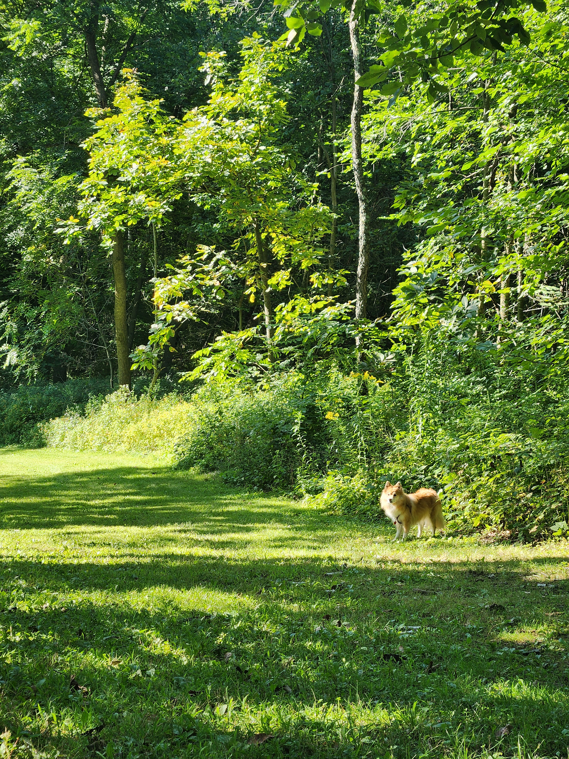 Justin Trails Resort, LLC