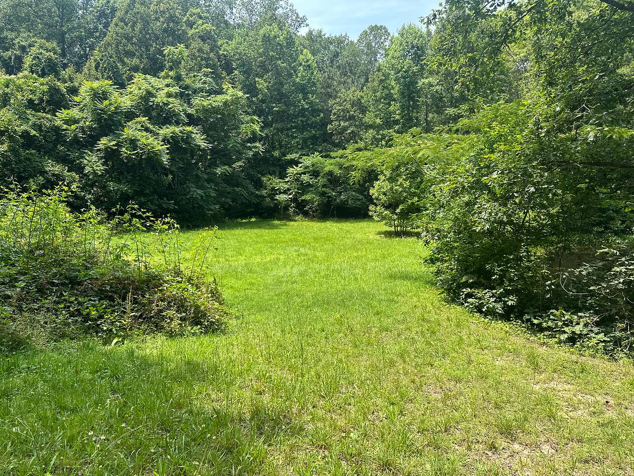The Adams Nature Nook