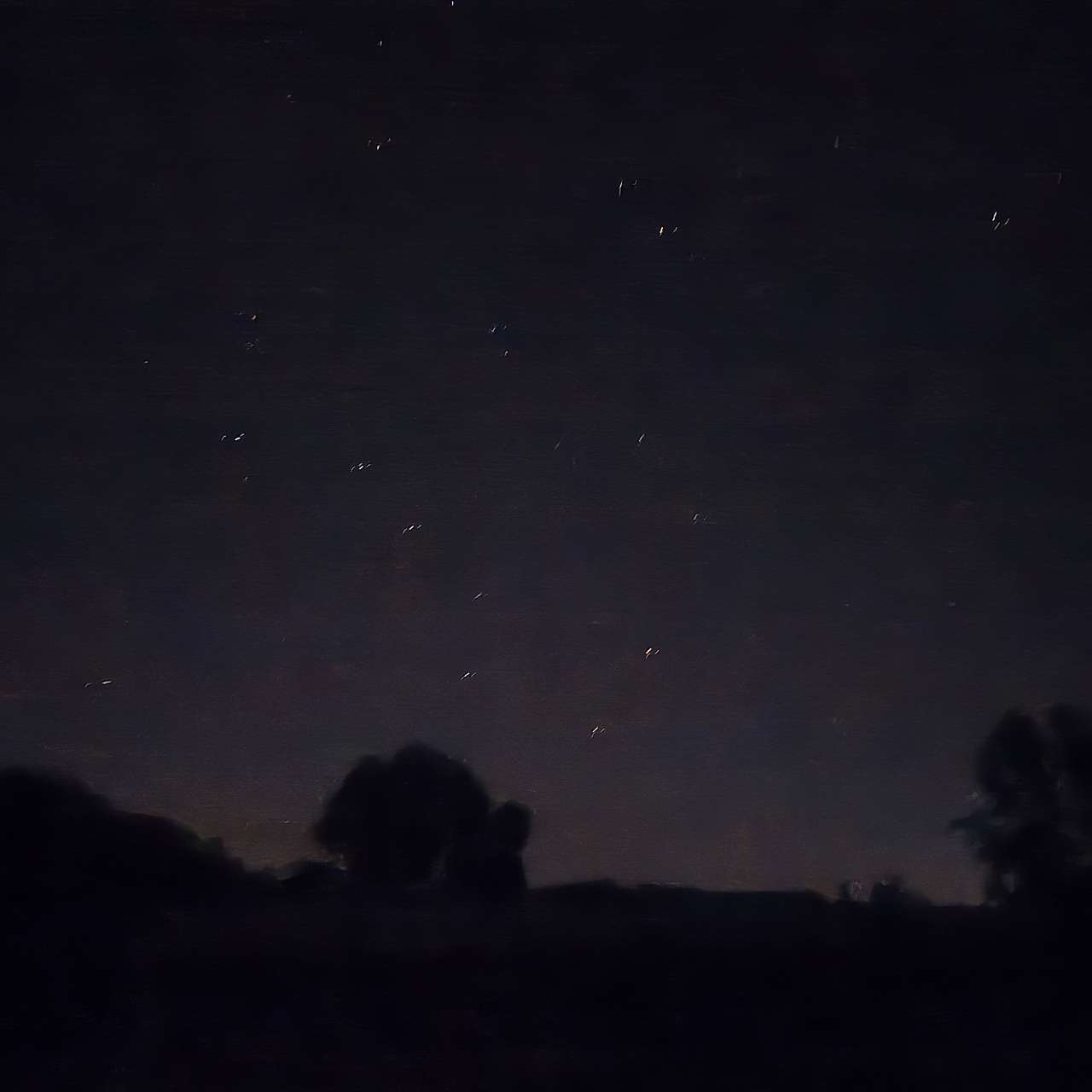 Honeycomb camps