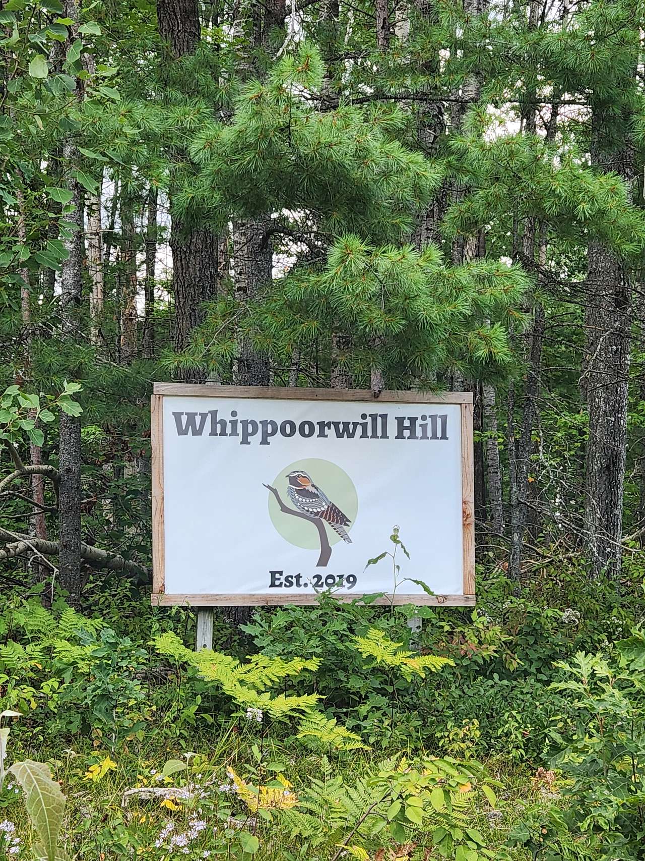 Whipporwil Hill