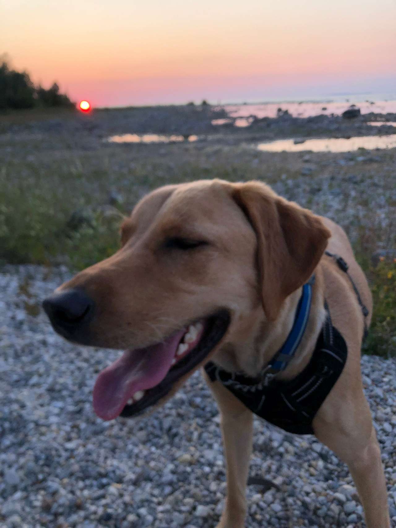 Leelanau State Park