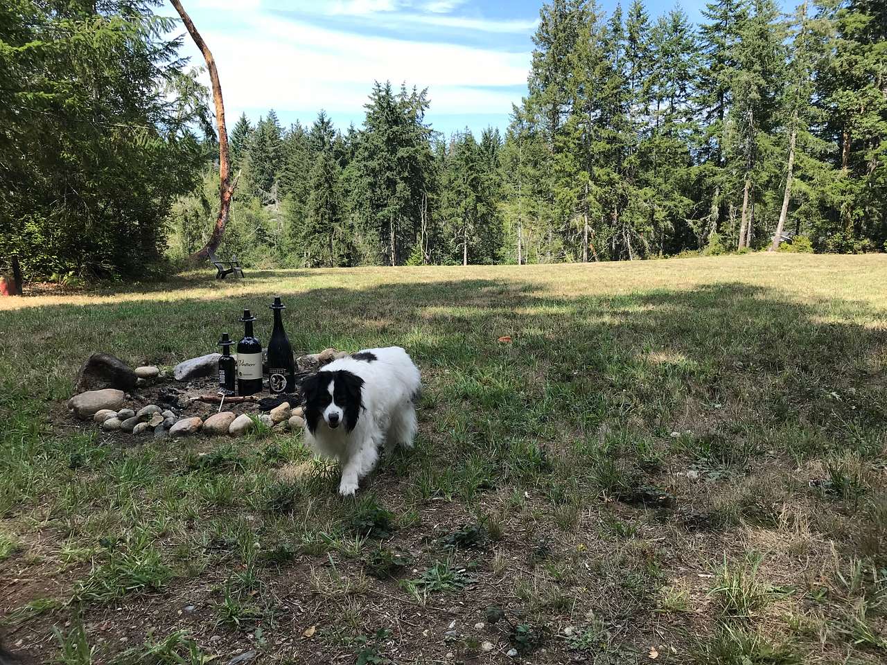 Camp Vixen
