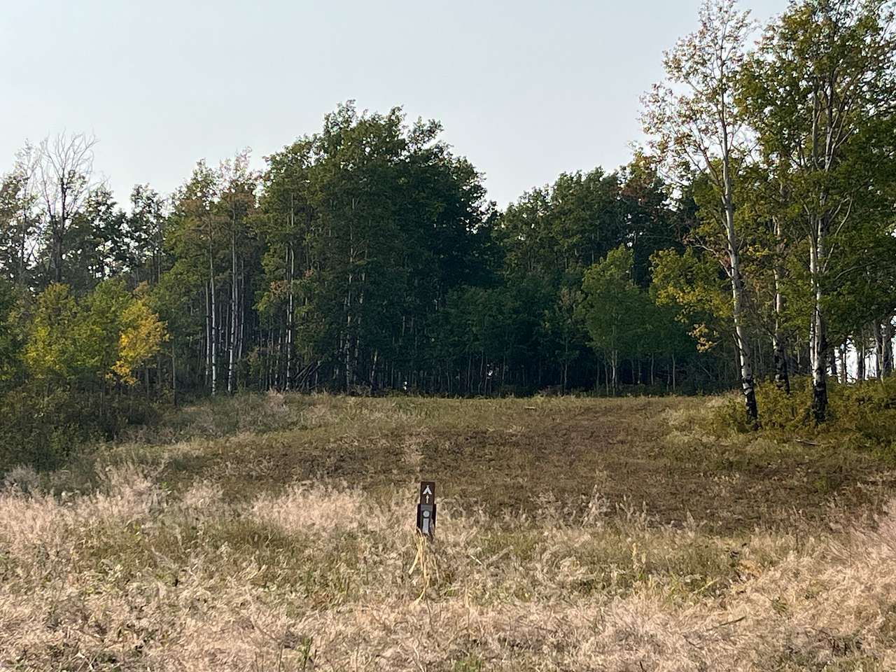 Some kind of pond in the background