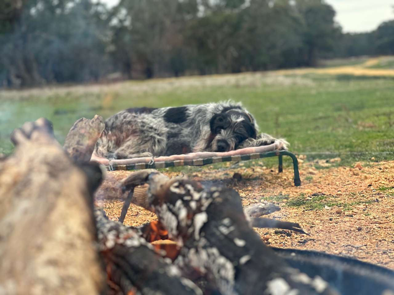 Wannon River Farm