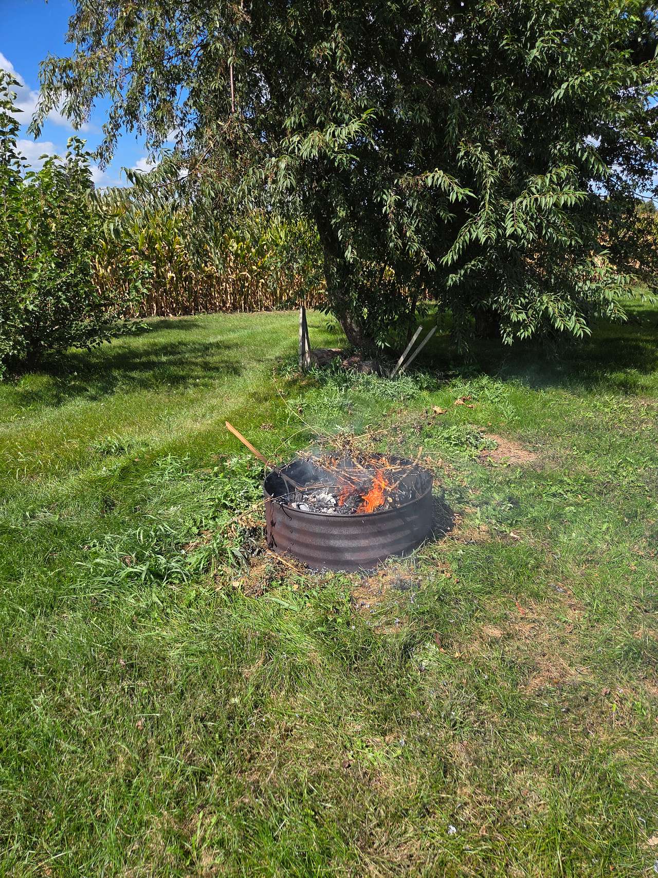 Dodge Family Farm