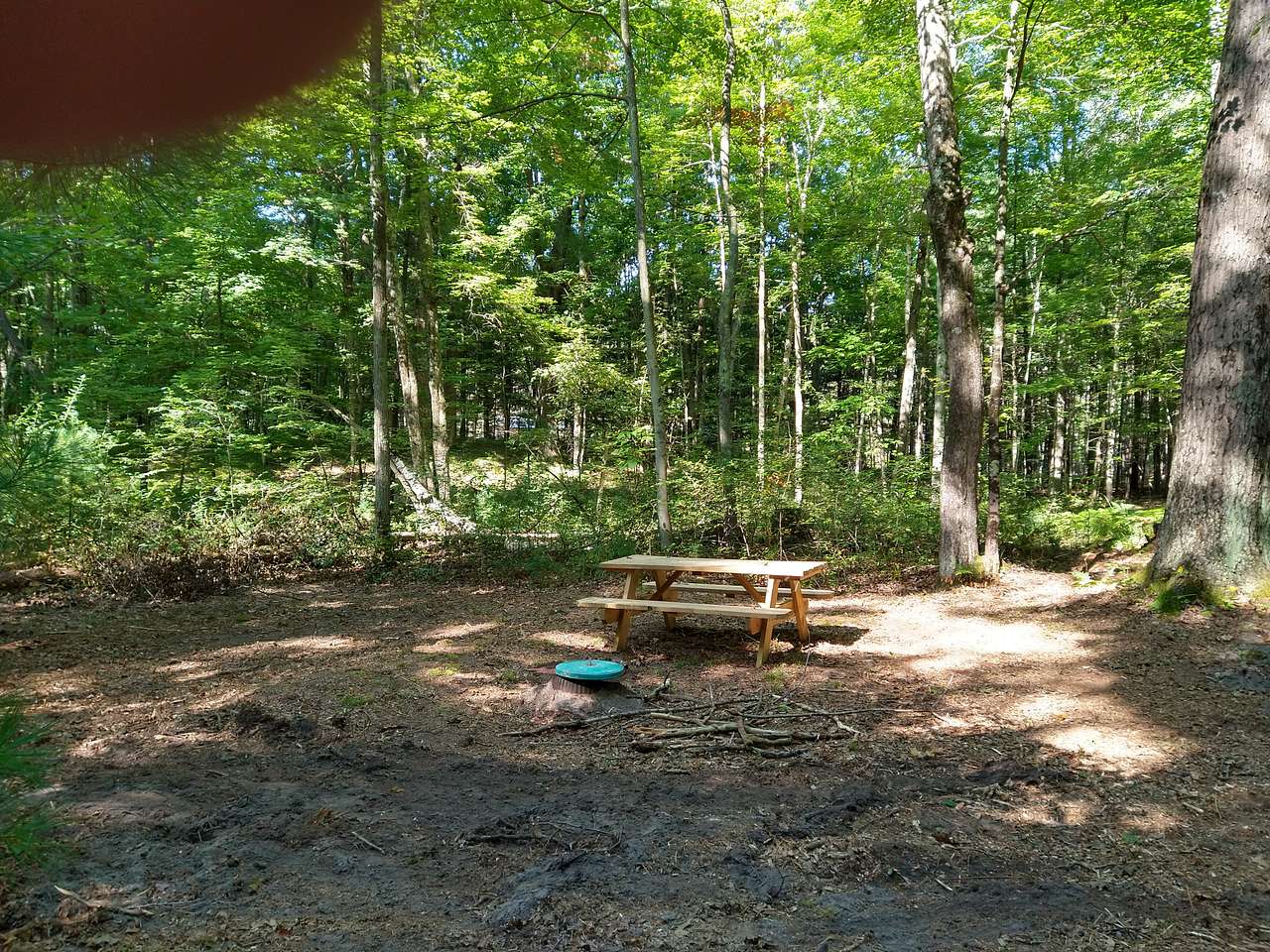 Valley of the Giants Camp