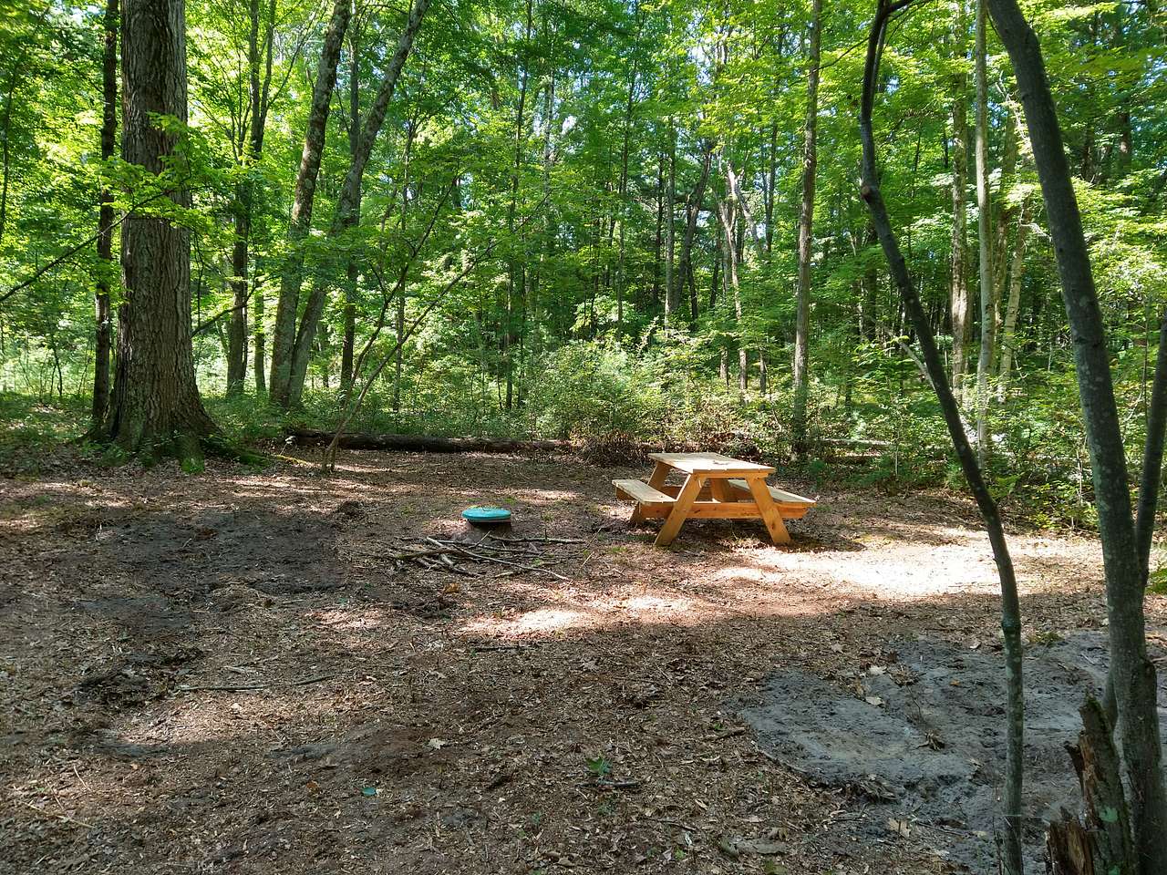Valley of the Giants Camp