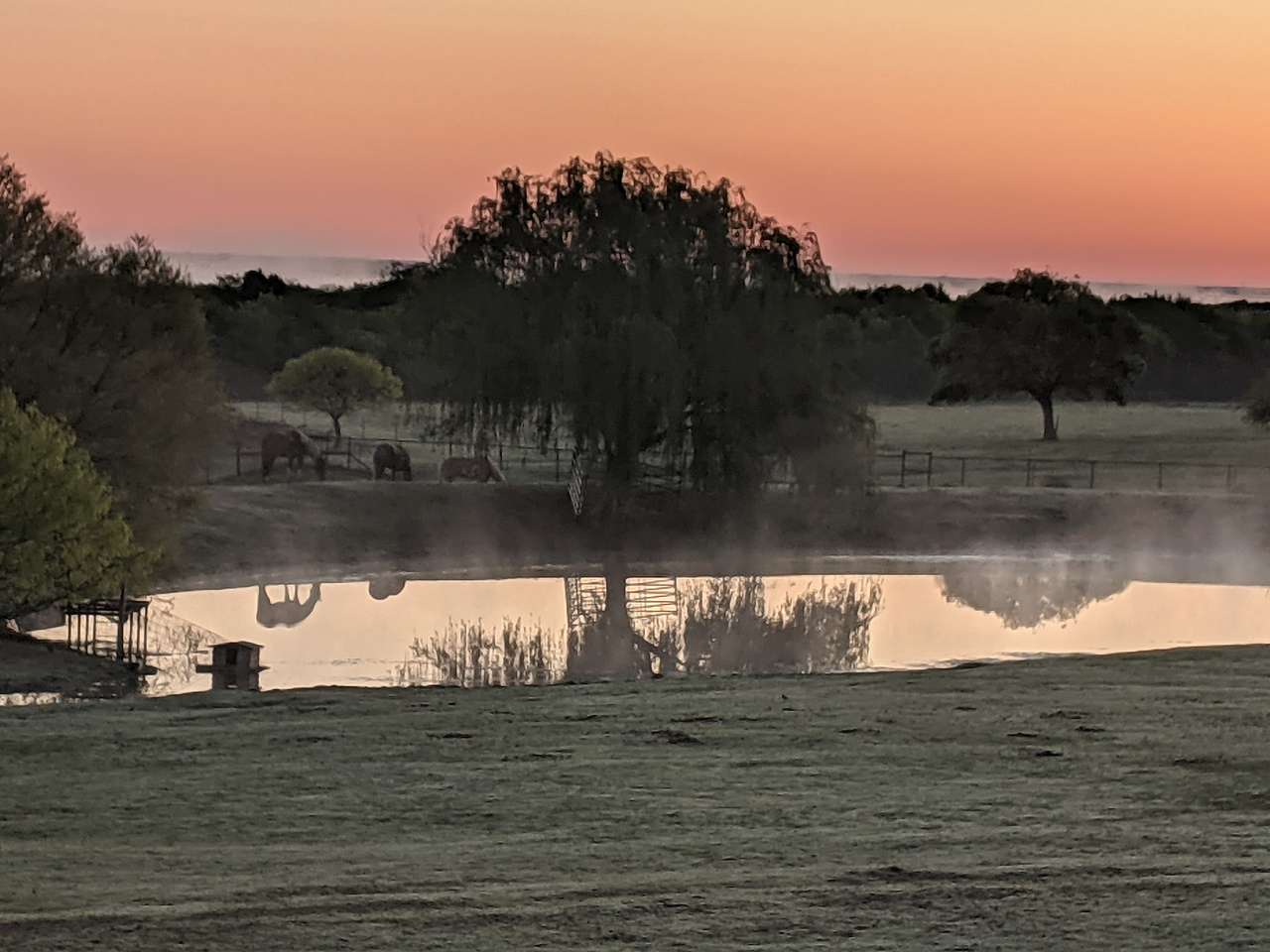 Willow Grey Ranch