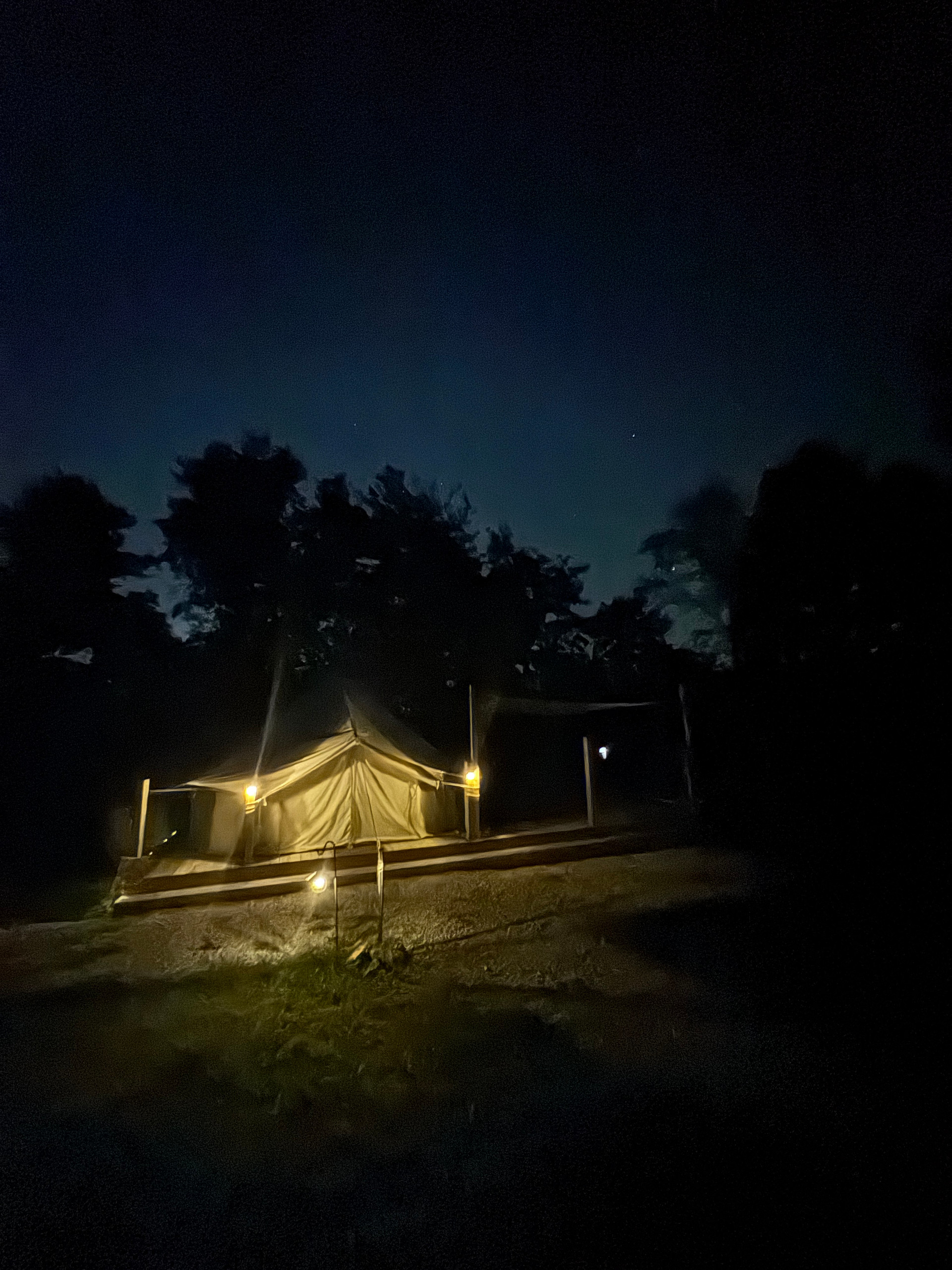 Mollys Ridge Glamping and Camping