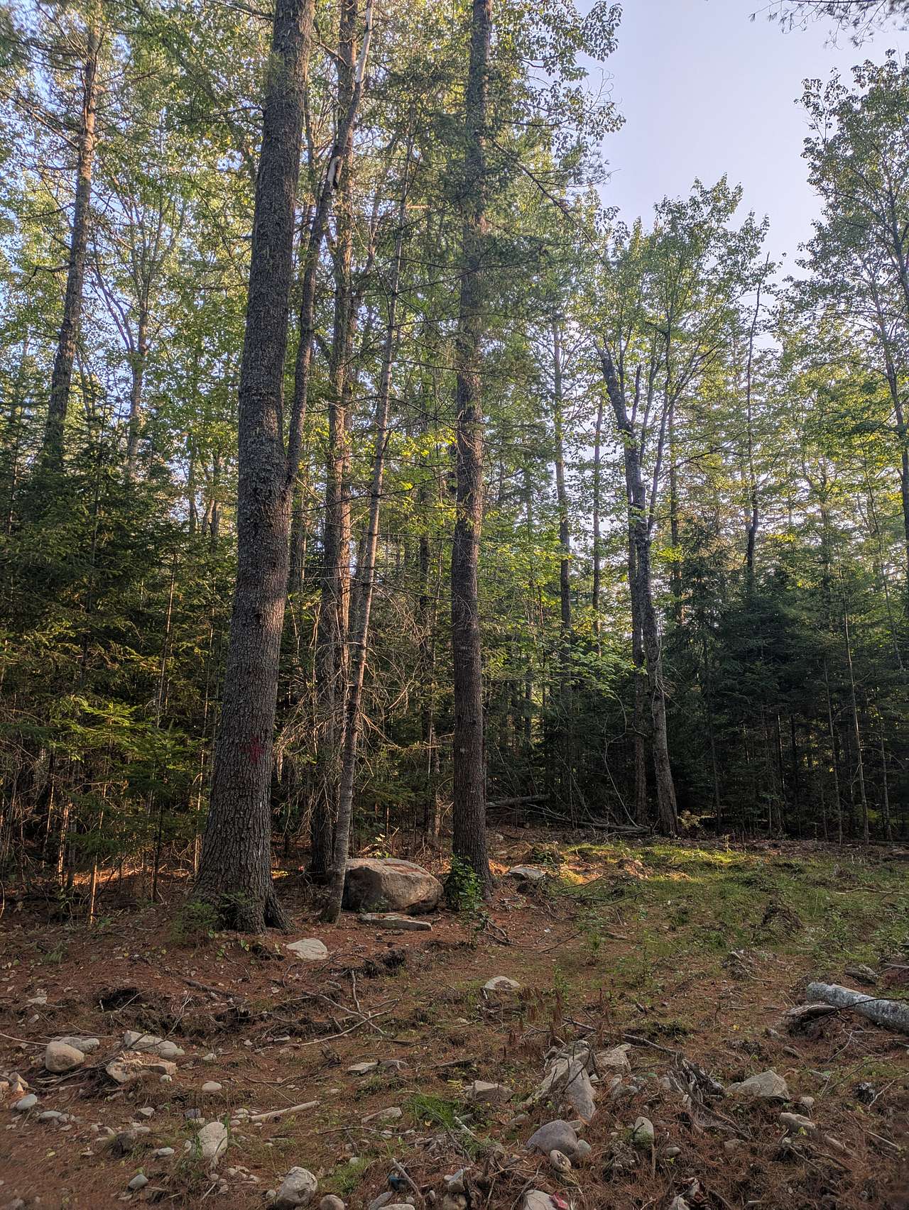 LaPlante Farm