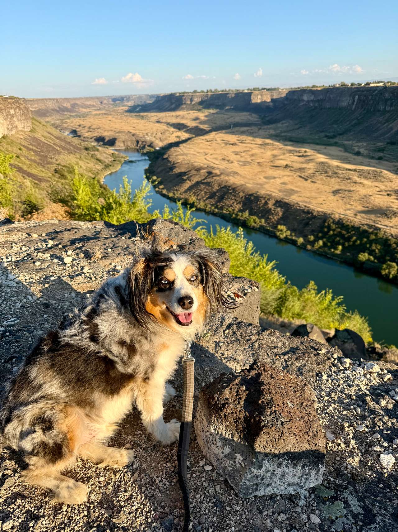 Snake River Canyon Views