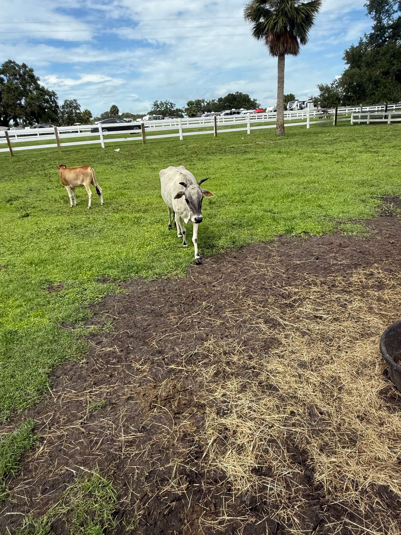 Keller Farm