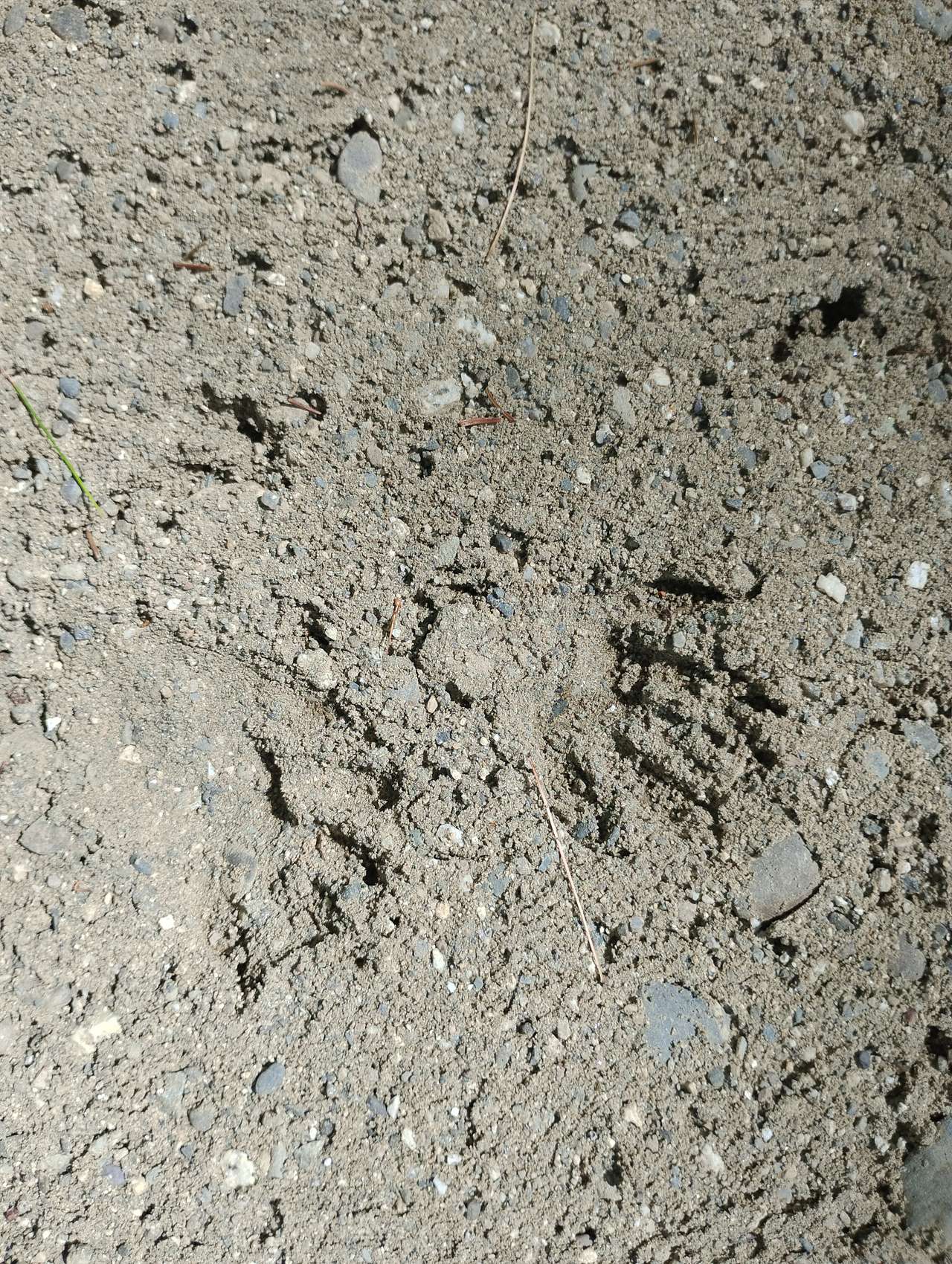 Beware of wildlife!
