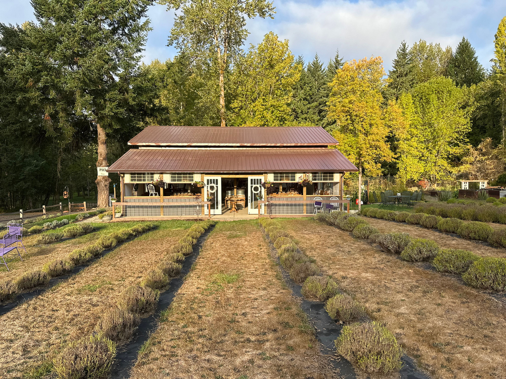 Pace Family Lavender & Hobby Farm