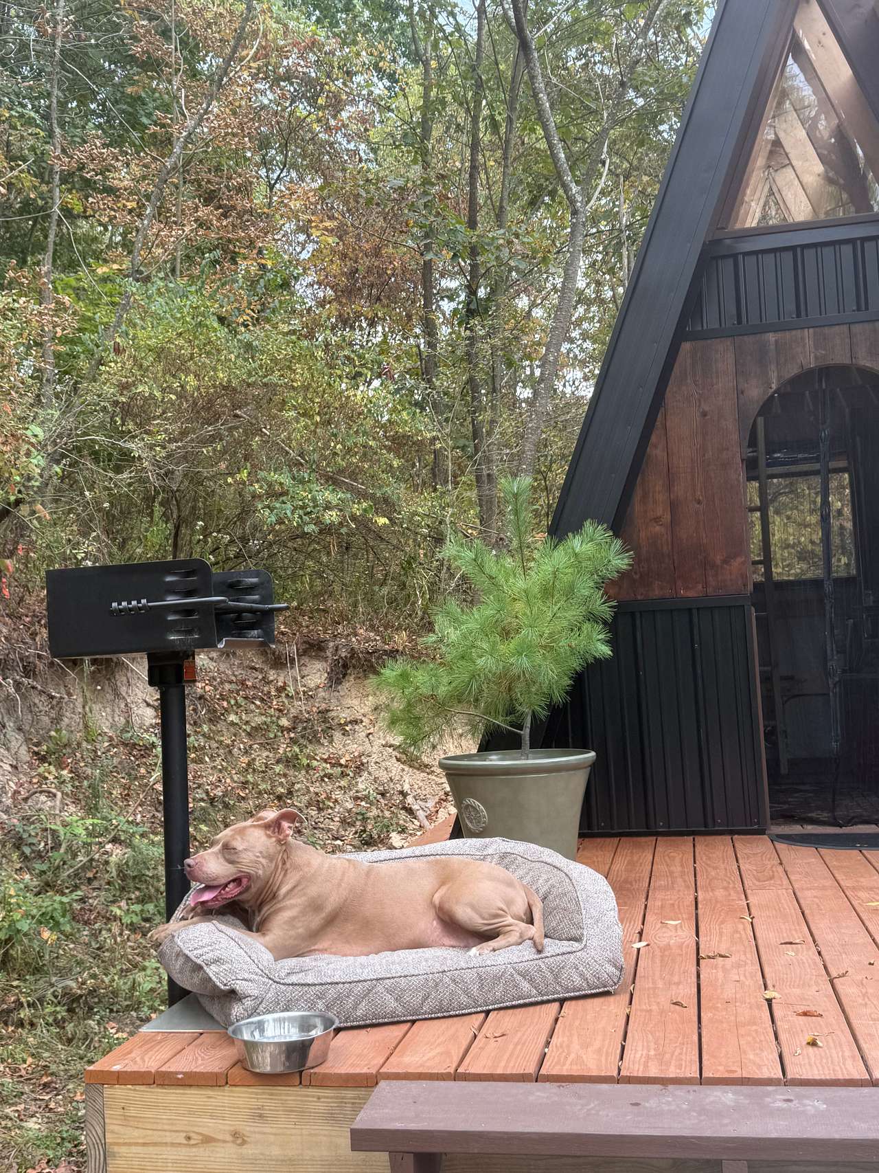 A-frame rustic cabin