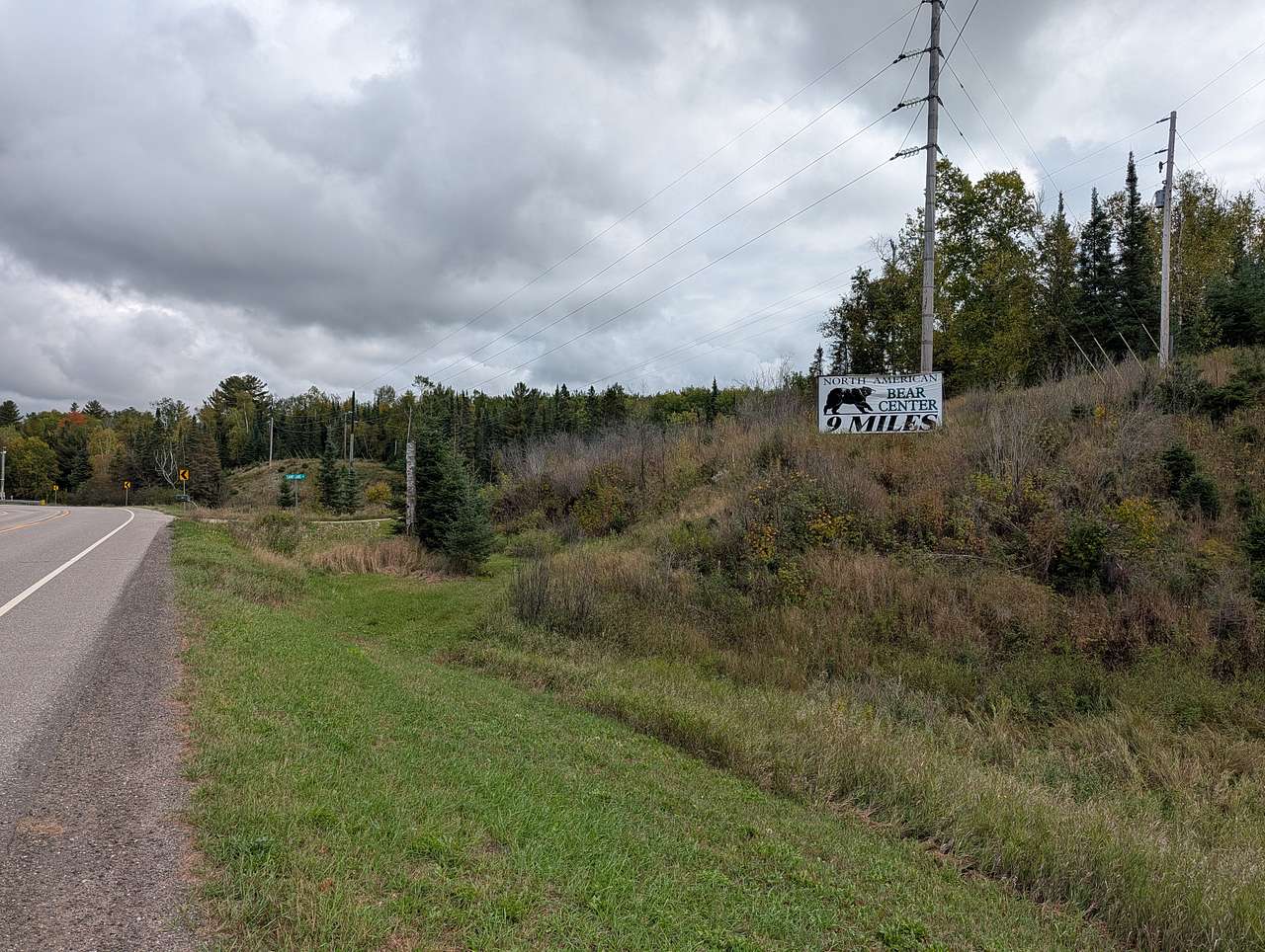 Camp Bear Sign