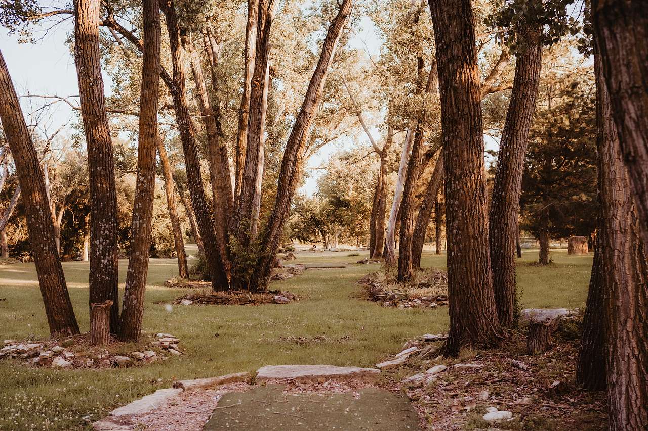 The Farm at Quail Valley