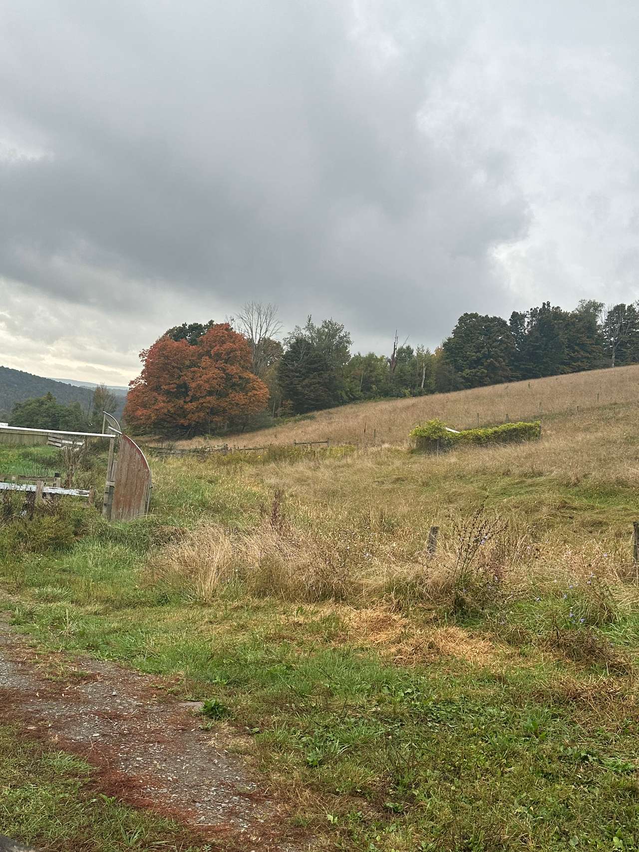 Glenfiddich Farm