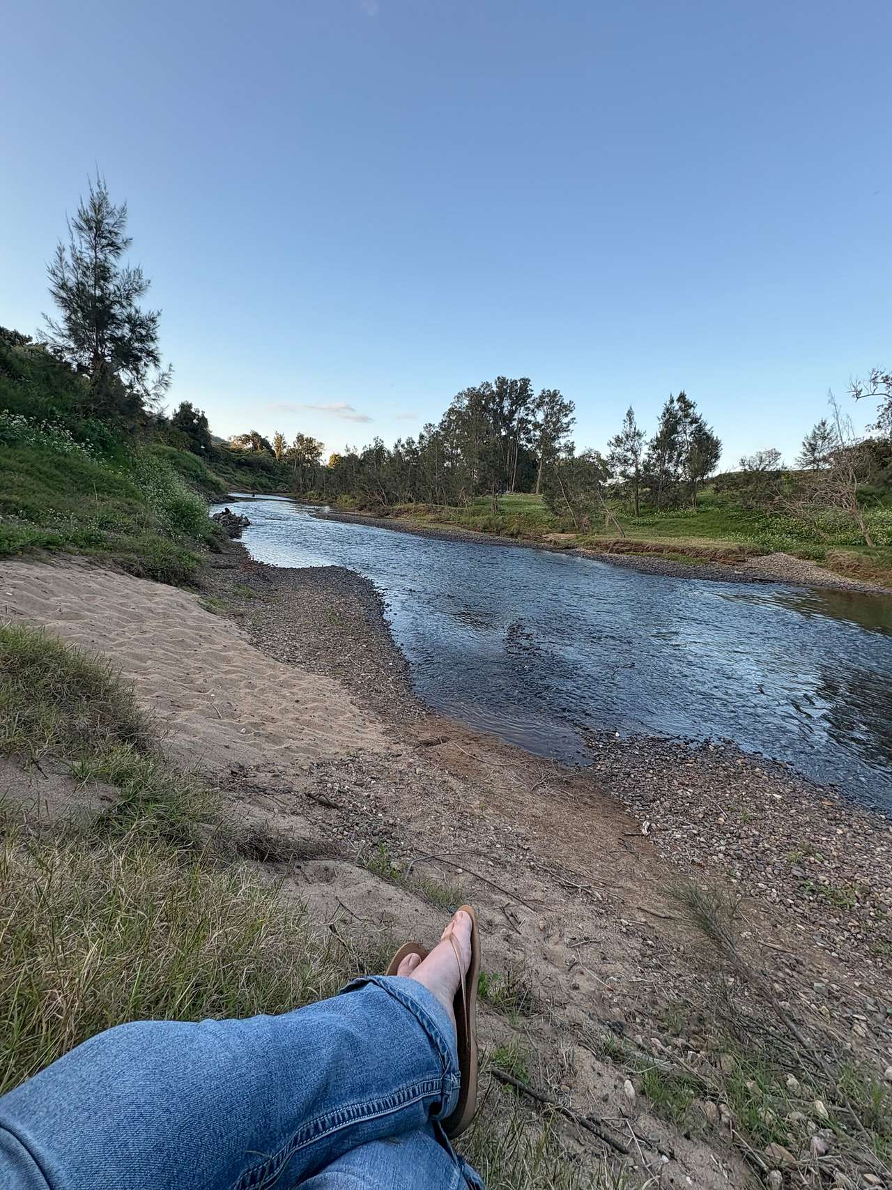Moy Park Camping