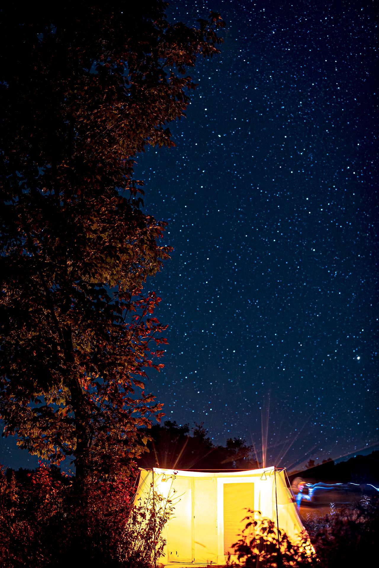 Stars over the camp site
