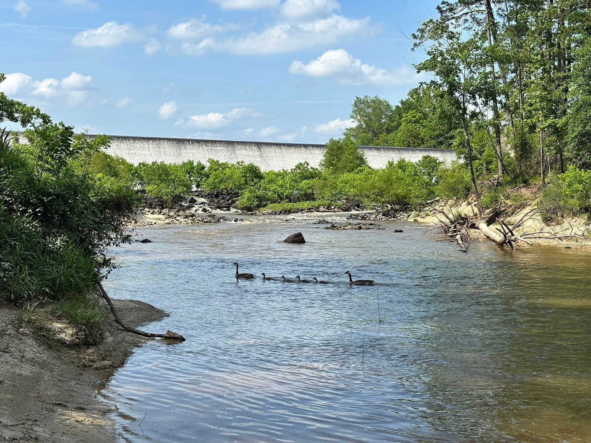 Anacoco Lake Spillway Rv Park And Grocery