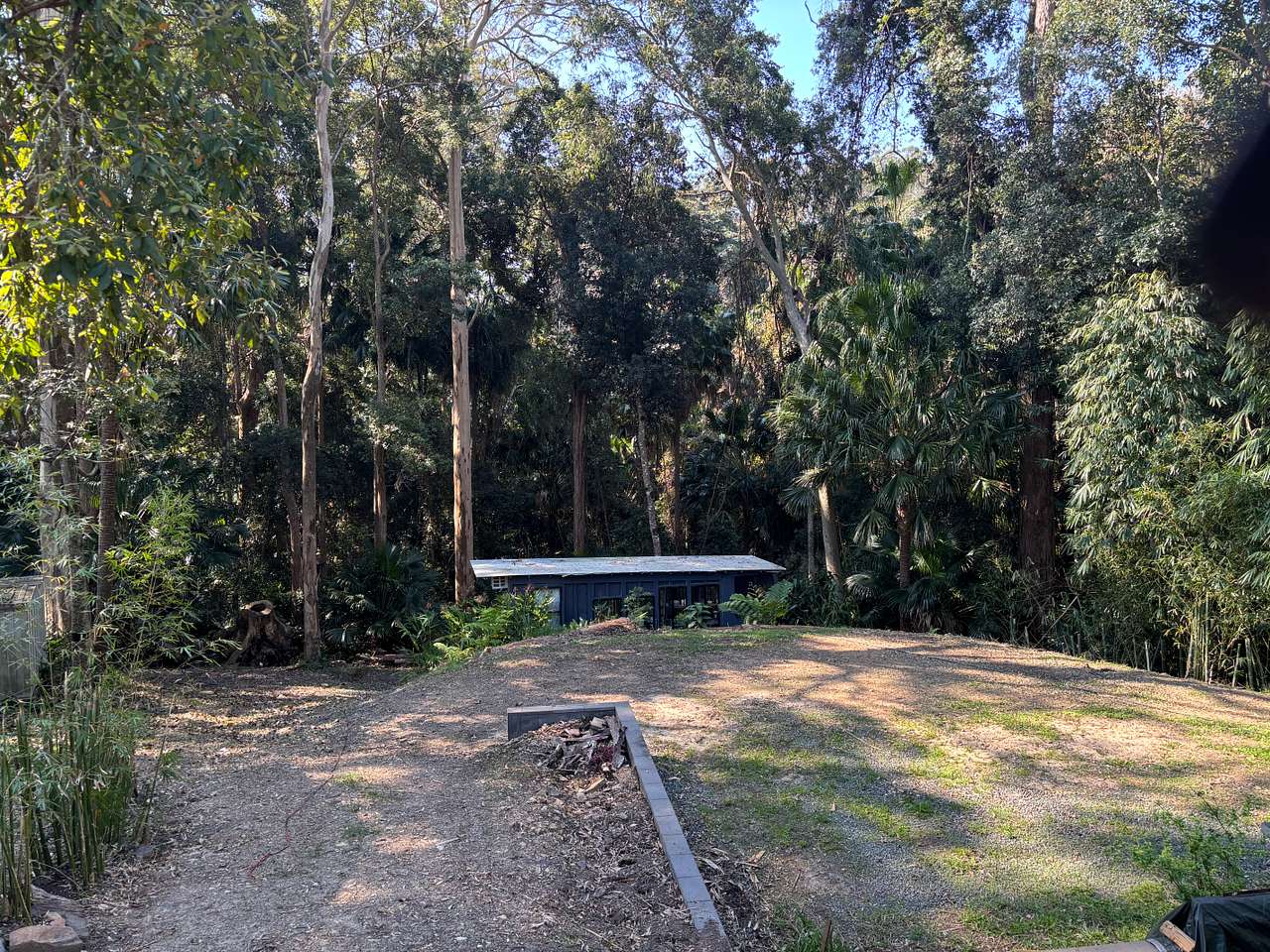 Land By Rainforest Near Lake