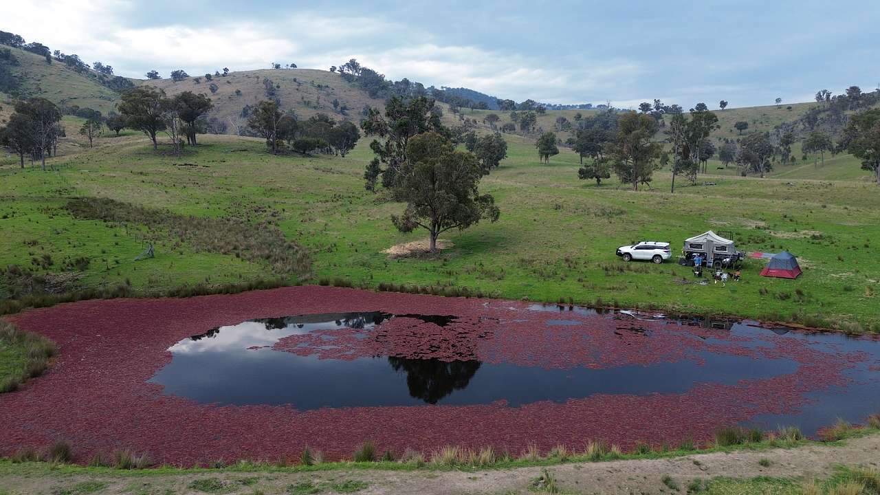 Berida