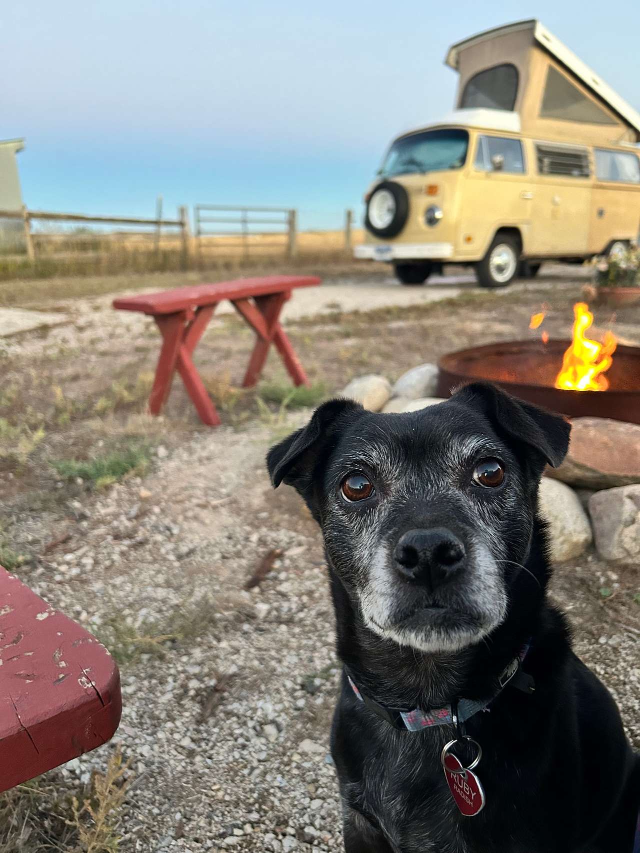 Apollo Ranch