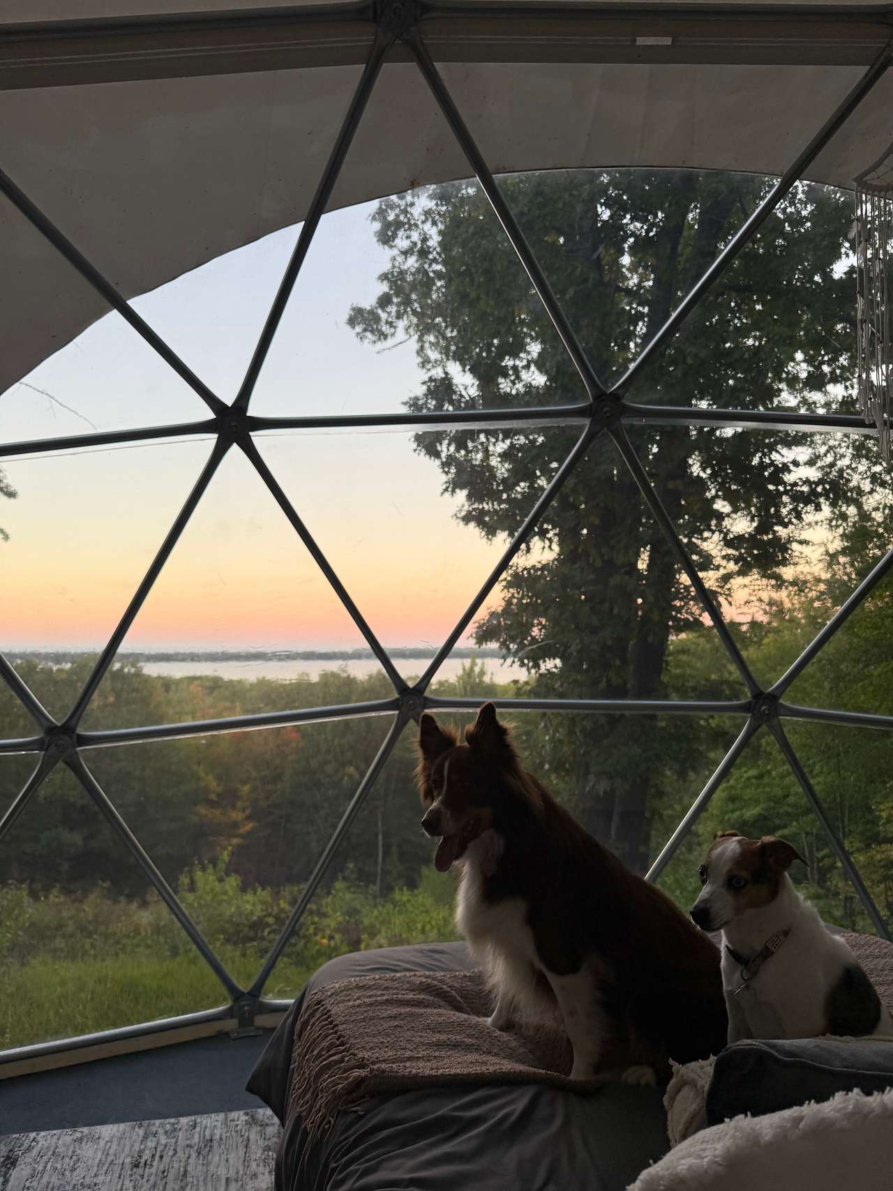 Camp Therapy