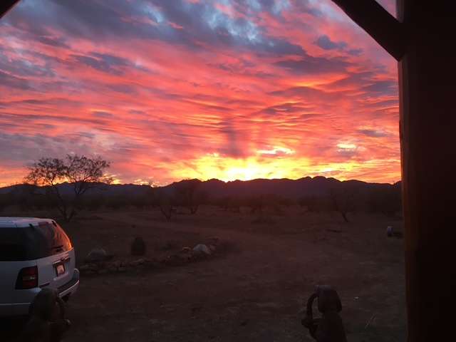 Sonora Desert