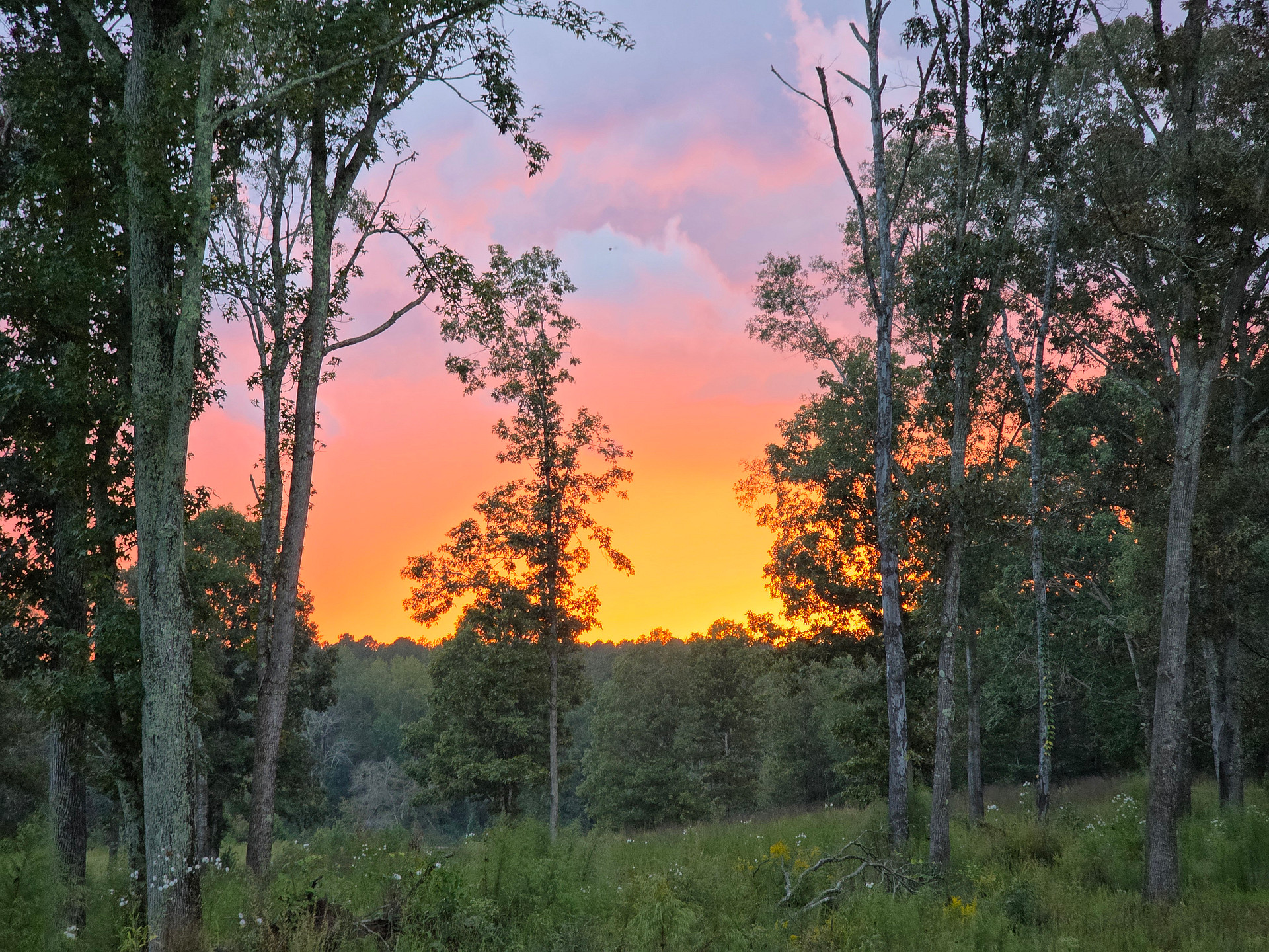 Mountain Creek Campground LLC