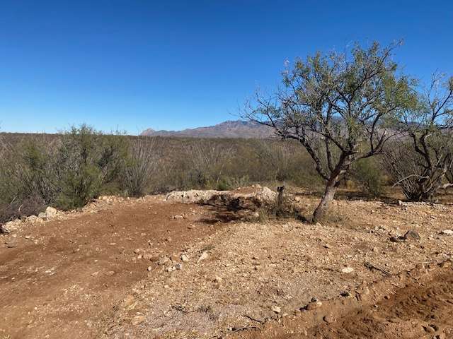 Sonora Desert