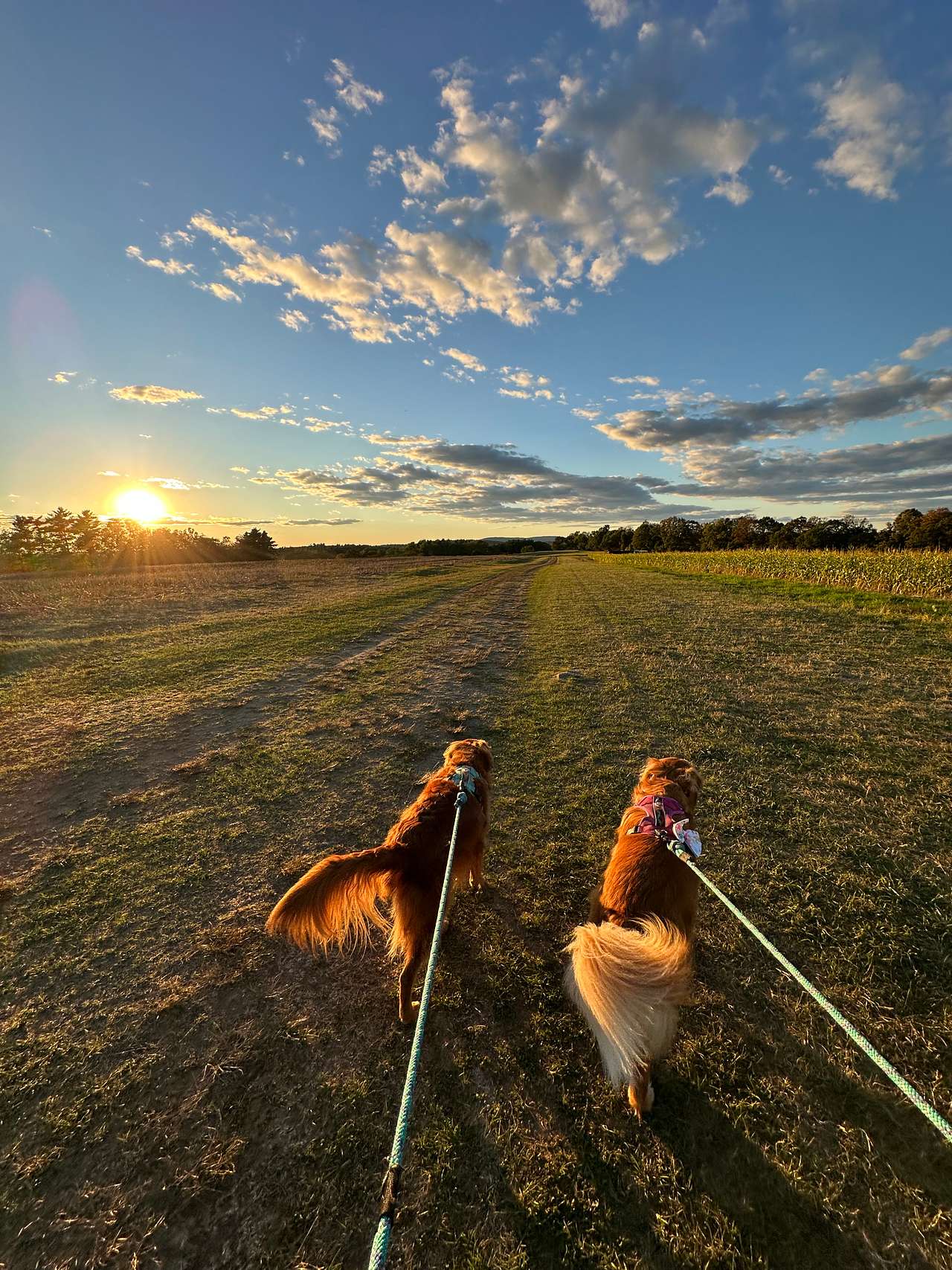 Sunset walk 
