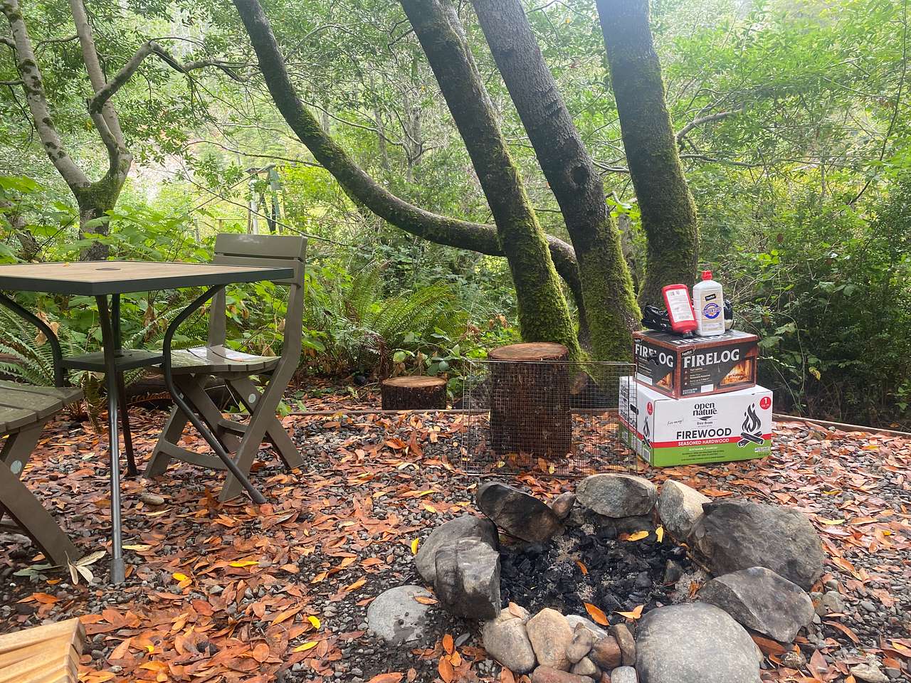 Redwoods Cabin Area