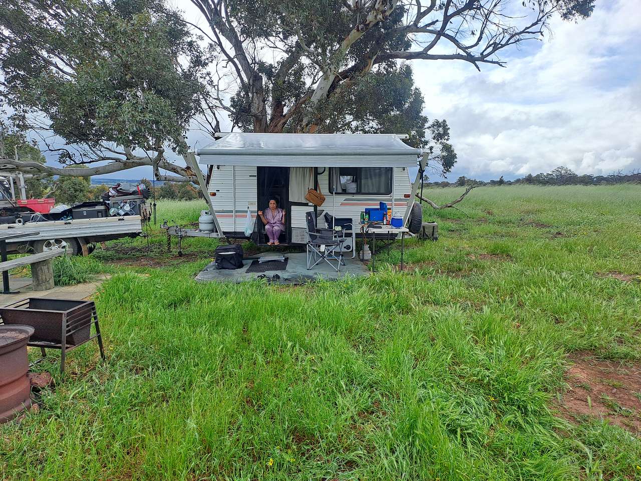 BrookHempTon Tree Farm