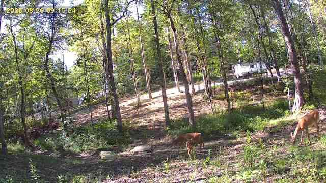 Fireside Trail LLC