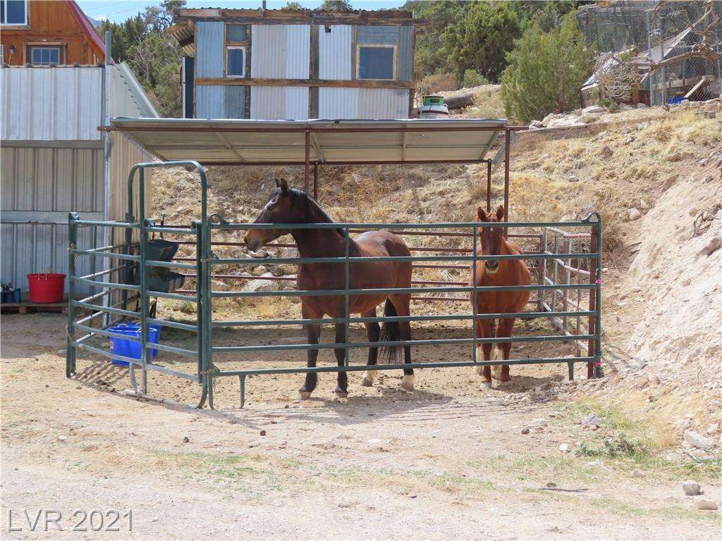 Wild Sage Ranch Elk Preserve