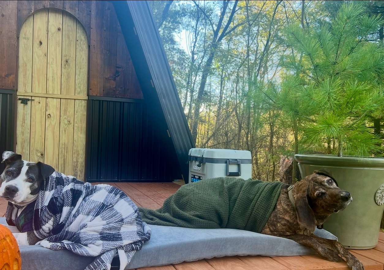 A-frame rustic cabin