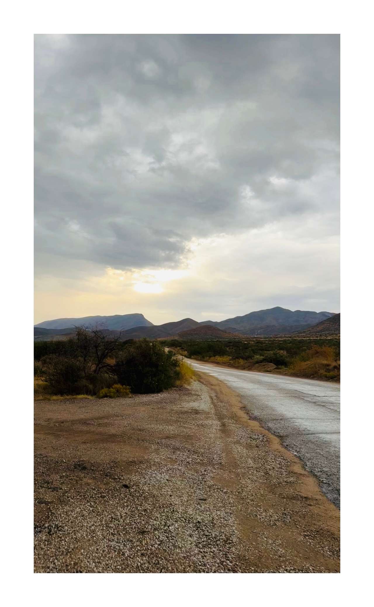 Organ Mountain Views