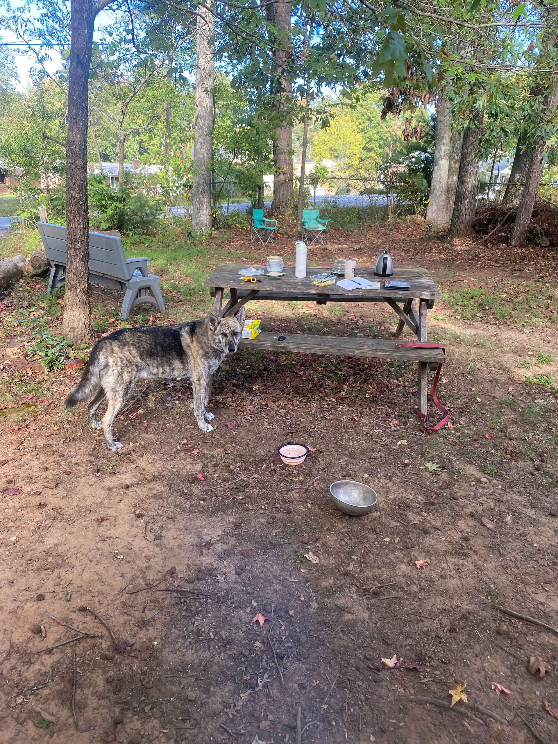 Greenville Camping Near Paris Mtn