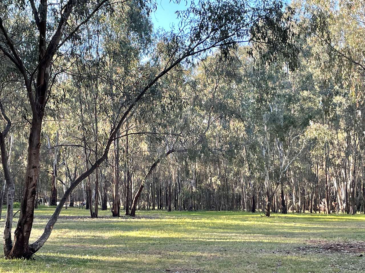 Garonelle Park